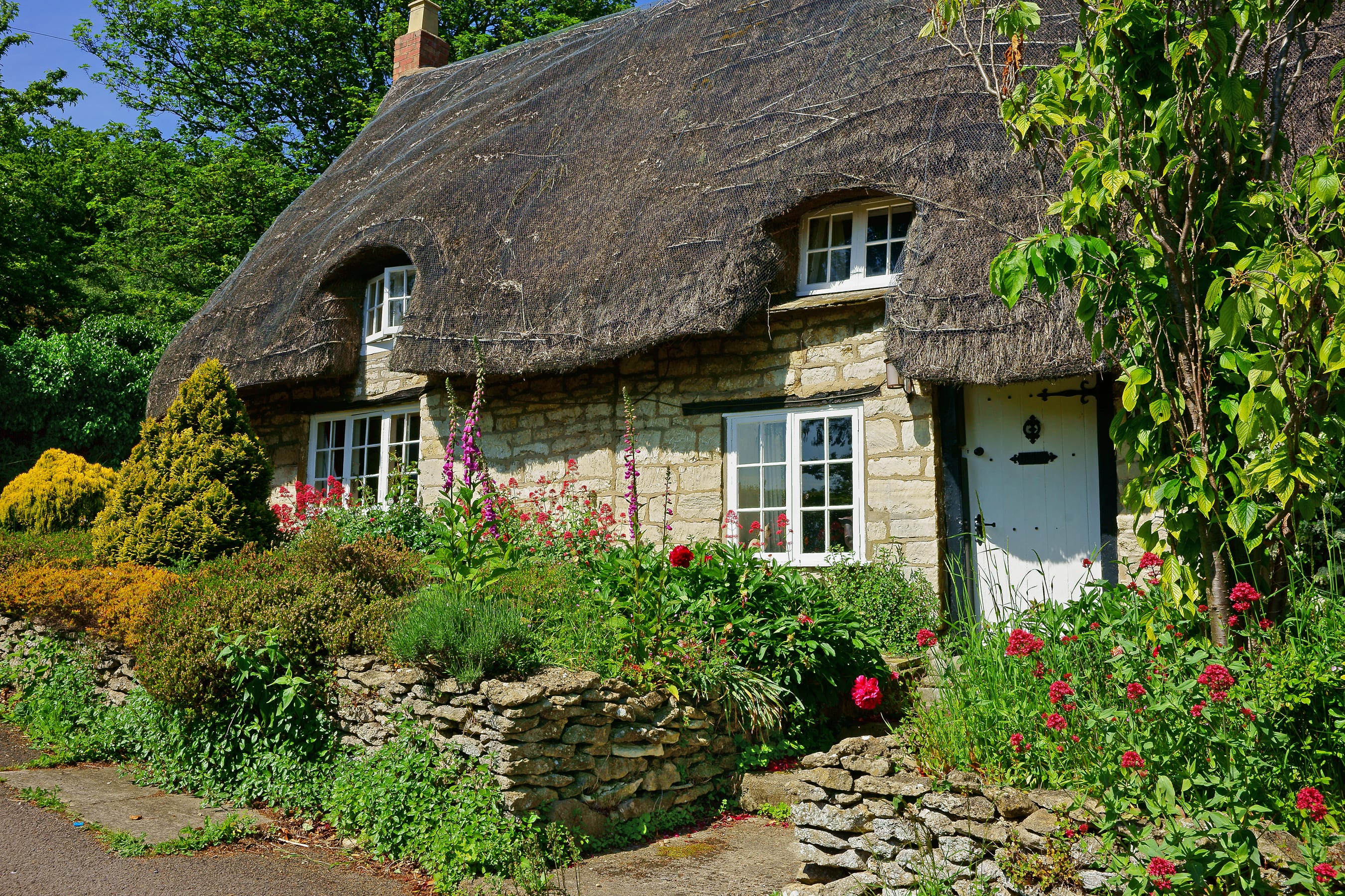 conservation-area